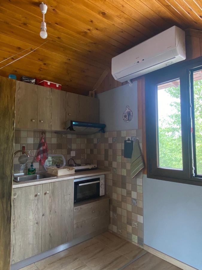 Γαληνη 3 Villa Litóchoron Ngoại thất bức ảnh